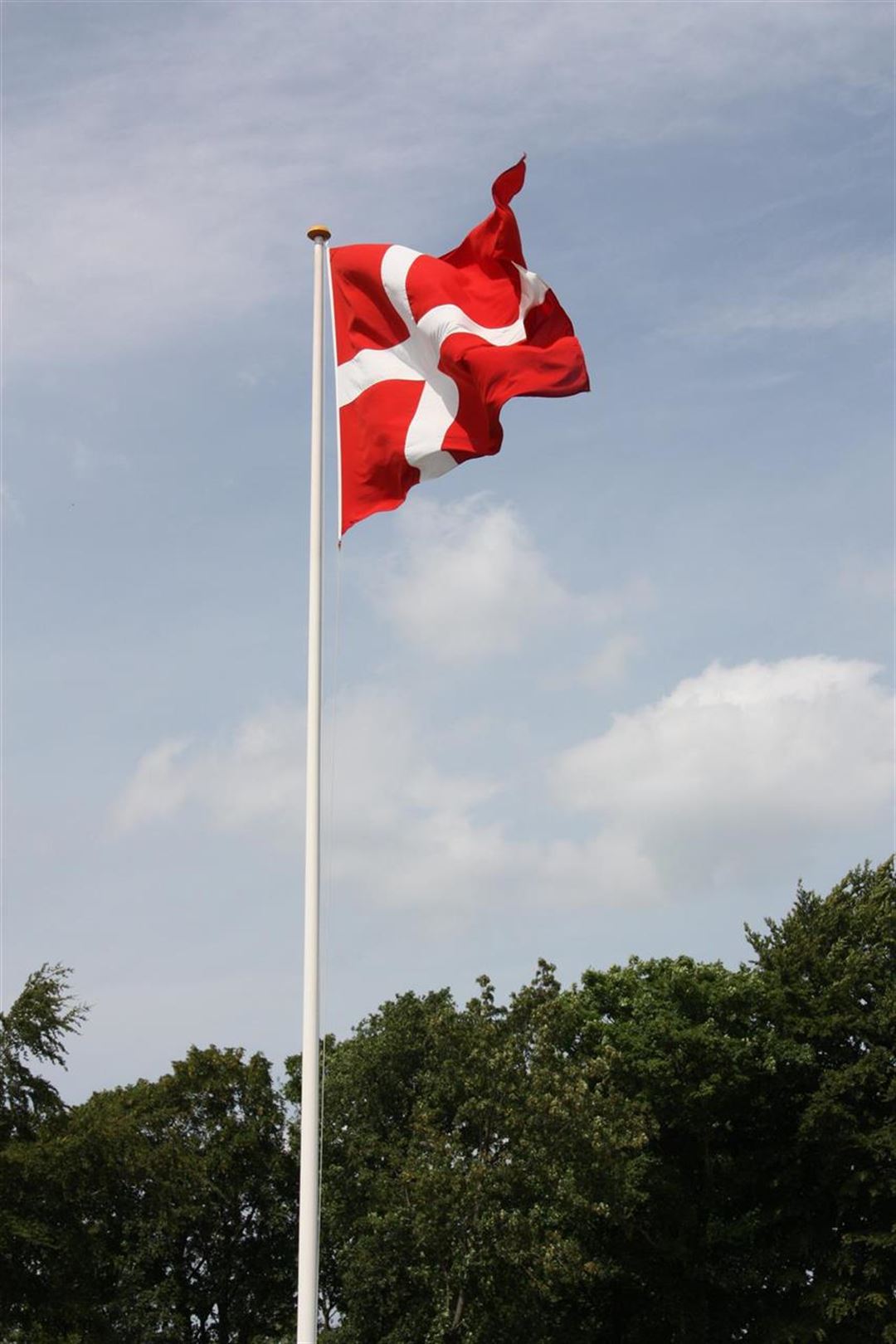 Køb et nyt flag eller en flagknop hos Flag.nu