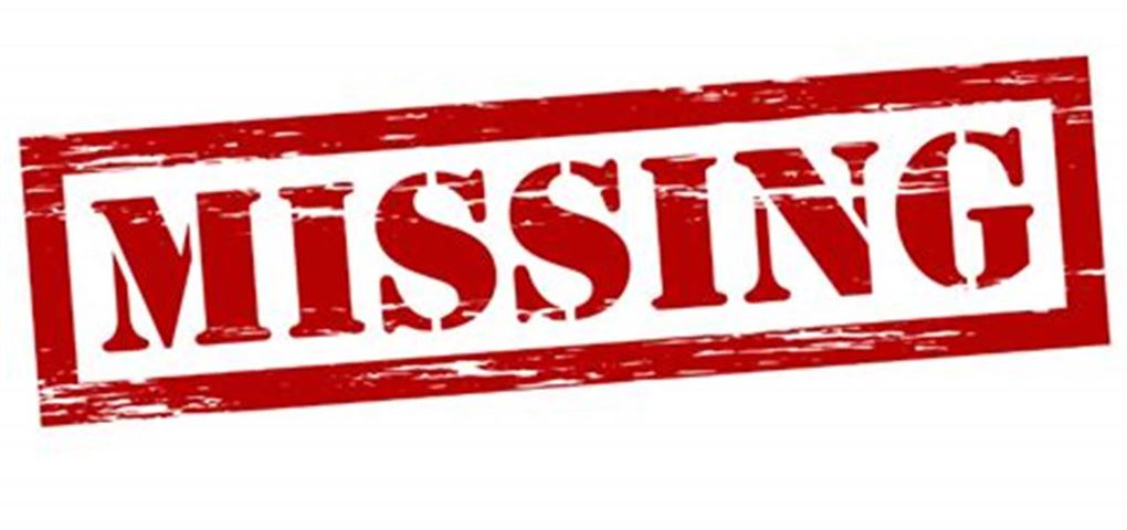 Hvad er fordelene ved at leje en container vs bruge et flyttefirma?