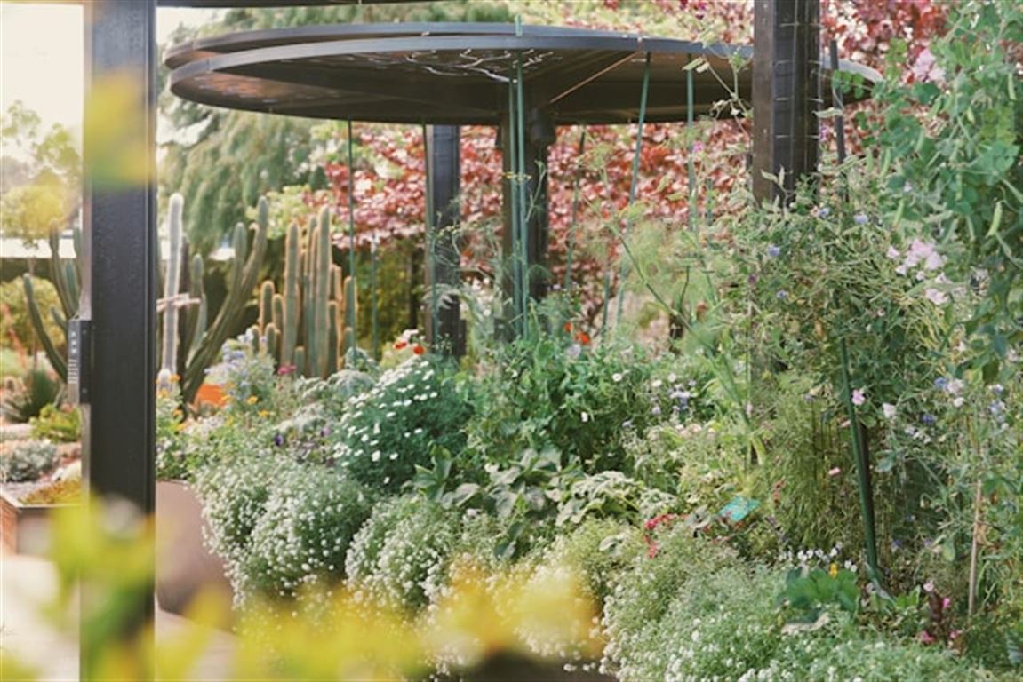 Skab skygge og hygge i din have med et solsejl